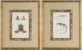 FROG / LIZARD ENGRAVINGS, LOT OF TWO by Georges Cuvier, hand-colored engraving on paper, sold Apr 2025