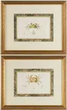 CRAB ENGRAVINGS, LOT OF TWO by Georges Cuvier, hand-colored engraving on paper, sold Apr 2025
