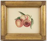 Untitled by Ellis Hughes, WATERCOLOR STILL-LIFE OF PEACHES, sold Nov 2024