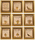OHIO, CALDWELL FAMILY FOLK ART FRAKTUR BIRTH RECORDS, LOT OF NINE by Columbiana Co., watercolor and ink on paper, sold Nov 2024