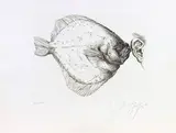 Untitled by Günter Grass, Etchings, sold Mar 2022