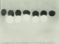 Untitled by Thomas Nozkowski, Pencil on paper, sold Mar 2022
