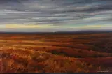 Untitled by Bruce Braithwaite, Oil on board, sold Sep 2022