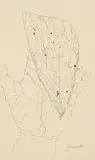 Insect Wing and Hand by Matsumi Kanemitsu, ink on paper, sold Oct 2020