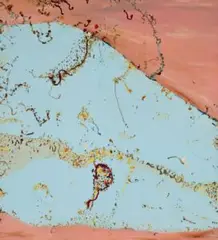 Flooded river, Kimberley by John Olsen, 1983, oil on canvas, sold Nov 2025