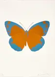 The Souls Ii by Damien Hirst, 2010, foil block print on Arches paper, sold Feb 2024