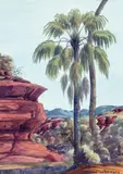 Palm Valley by Albert Namatjira, 1940s, watercolour on paper, sold Aug 2023
