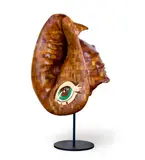 More The Her by Del Kathryn Barton, 2022, American black walnut with Cambia ash and rock maple wood, abalone green and white freshwater mother of pearl inlay, har, offered Aug 2023