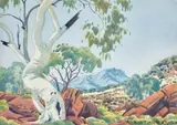 Ghost Gum, Central Australia by Albert Namatjira, 1951, watercolour and pencil on paper, sold Aug 2023