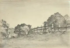 The Wattle Tree by Lloyd Rees, 1934, pencil on paper, sold May 2023