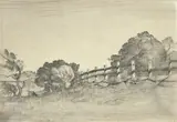 The Wattle Tree by Lloyd Rees, 1934, pencil on paper, sold May 2023