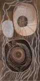 Baratjala by Noŋgirrŋa Marawili, 2020, natural earth pigments and printer ink on composition board, sold Mar 2023