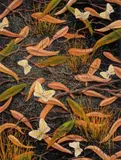 Butterflies by Lin Onus, 1993, gouache on illustration board, sold Dec 2022