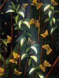 Birrakala (Butterflies) At Night by Lin Onus, 1993, gouache on illustration board, sold Dec 2022