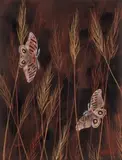Speargrass by Lin Onus, 1993, gouache on illustration board, sold Dec 2022