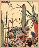 Cacti Garden by Cressida Campbell, 1985, Edition: edition: AP aside from an edition of 3, sold May 2022