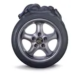 Radial by Patricia Piccinini, 2005, Edition: edition of 6 + AP 2, sold Nov 2021