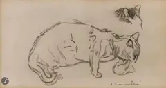 Étude de chat by Théophile Steinlen, Crayon noir, sold Sep 2025