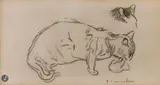 Étude de chat by Théophile Steinlen, Crayon noir, sold Sep 2025