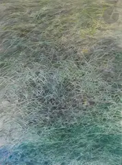 Les Herbes by Fred-André Holzer, Aquarelle sur papier fort, sold Jul 2025