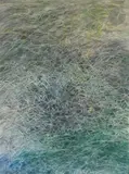 Les Herbes by Fred-André Holzer, Aquarelle sur papier fort, sold Jul 2025