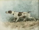 Braque à l'arrêt by Charles-Fernand de Condamy, Aquarelle, sold Nov 2022