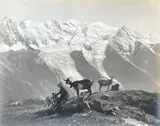 Le berger devant le Mont Blanc by Georges II Tairraz, Photographie, sold Apr 2022