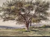 Paysage à l'arbre by Armand Cassagne, Aquarelle signée en bas à gauche, sold Feb 2025