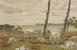 La Baie by Henri Rivière, 1897, Lithographie couleurs, n°1 série les aspects de la nature, sold Dec 2023