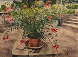 Fuchsias by André Dunoyer de Segonzac, Aquarelle gouachée sur traits d'encre, sold Dec 2023