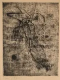 Oiseaux by Johnny Friedlander, Eau-forte, aquatinte sur vergé, sold Dec 2023