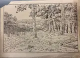 La Forêt, planche 13 de la série «LesAspects de la Nature». 1899 by Henri Rivière, Lithographie, planche de noir seulement, sold Dec 2023