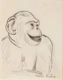 Le singe, vers 1939-40 by Francis Picabia, Crayon noir sur papier marouflé sur papier, sold Dec 2024