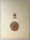 [Chat et chien au chapeau]. Une des 9 illustrations (justification) pour JARRY (Alfred). Décervelage. S.l., Alexandre Iolas by Max Ernst, 1971, Lithographie en brun sur Japon nacré, sold Feb 2024