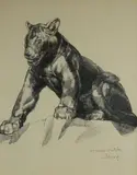 Jeune panthère assise by Paul Jouve, Lithographie originale, sur papier japon impérial justifiée et signée épreuve d'artiste, e, sold Feb 2019