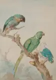 Trois perroquets sur une branche by Aert Schuman, Aquarelle, sold Oct 2018