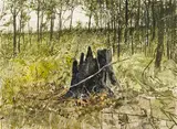 A Grove of Hardwood by Thomas de Vany Forrestall, 1972, watercolour on illustration board, sold Mar 2024