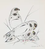 Rough-Legged Hawk by Eddy Cobiness, 1993, watercolour on paper, sold Feb 2024