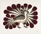 Audacious Owl by Kenojuak Ashevak, stonecut and stencil on paper, sold Feb 2024