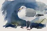 The Proud One by Sam Black, watercolour on paper, sold Feb 2024