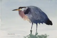 Minnow Menace by Sam Black, watercolour on paper, sold Feb 2024