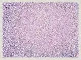 Untitled by Jack Marlow Wise, 1993, watercolour on paper, sold Feb 2024