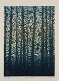 Rainforest by Jack Marlow Wise, 1991, woodcut on paper, sold Feb 2024