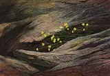 Along the Shore (Lake Superior) by Ken MacDougall, tempera on board, sold Jan 2024