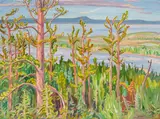 Jack Pine by A. Y. Jackson, oil on canvas, sold Nov 2023