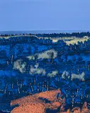 Amber Grove by Ivan Eyre, 2011, acrylic on canvas, sold Nov 2023
