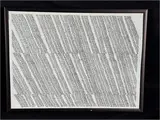 We Ride by Chris Cascio, offered Jun 2024