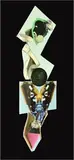 Nocturnal Hologram by Katie Grinnan, offered Jun 2024