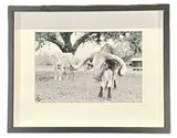 Irish Creek Tango by Brittnay Hansen, photograph, offered Jul 2025