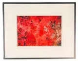 Red Coral by Anne Doubilet, offered Aug 2025